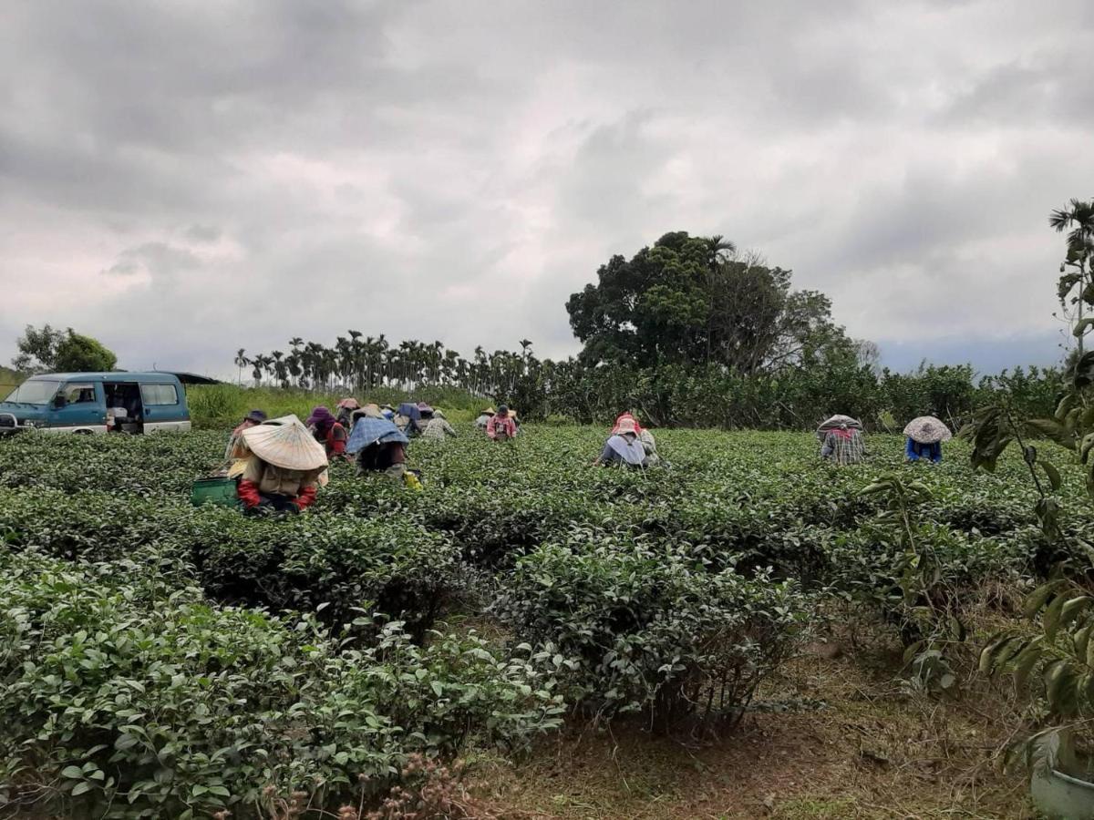 东立茶行民宿 瑞穗乡 外观 照片